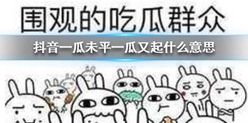 最新吃瓜爆料抖音,揭秘娱乐圈惊人内幕！